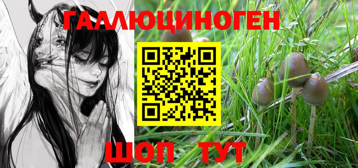 Псилоцибиновые грибы MAGIC MUSHROOMS Нягань